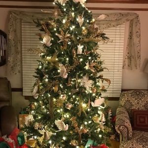 Meet your Posher, Mary